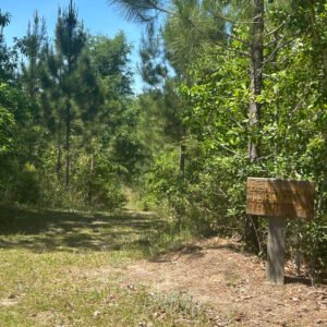 BenTurner_trail1