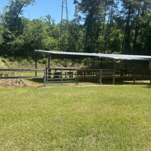 Rifle_Range