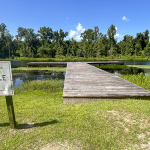 Pattens_Pond_TDock